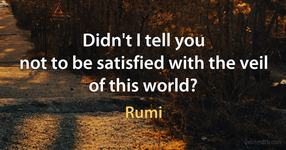 Didn't I tell you
not to be satisfied with the veil of this world? (Rumi)