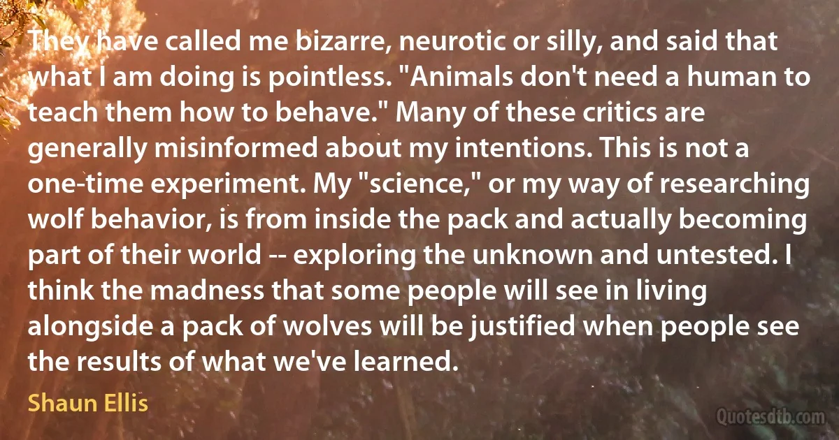 They have called me bizarre, neurotic or silly, and said that what I am doing is pointless. "Animals don't need a human to teach them how to behave." Many of these critics are generally misinformed about my intentions. This is not a one-time experiment. My "science," or my way of researching wolf behavior, is from inside the pack and actually becoming part of their world -- exploring the unknown and untested. I think the madness that some people will see in living alongside a pack of wolves will be justified when people see the results of what we've learned. (Shaun Ellis)