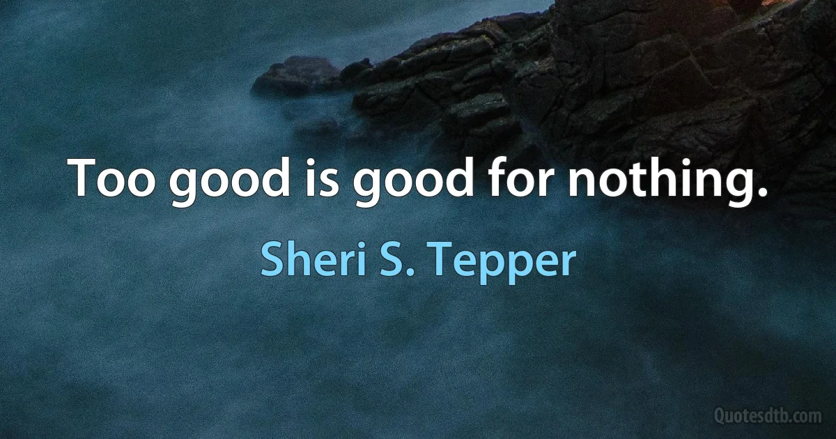 Too good is good for nothing. (Sheri S. Tepper)