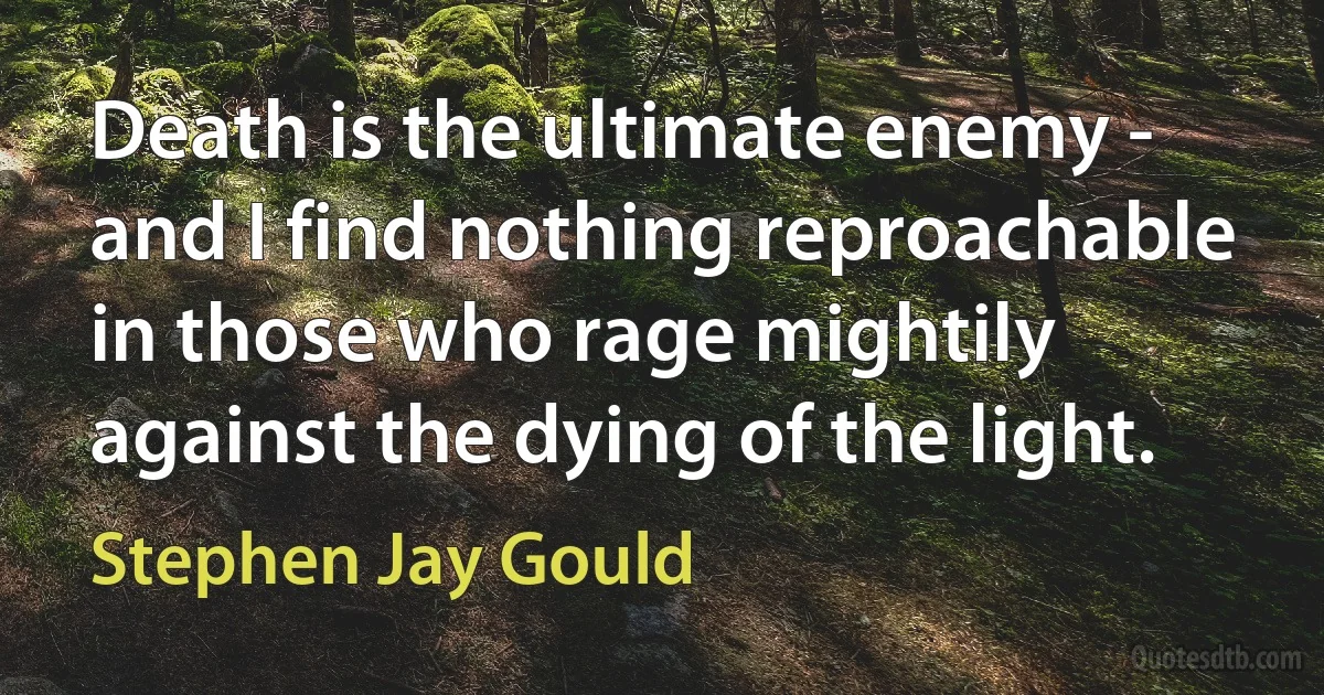 Death is the ultimate enemy - and I find nothing reproachable in those who rage mightily against the dying of the light. (Stephen Jay Gould)