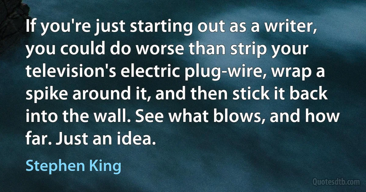 If you're just starting out as a writer, you could do worse than strip your television's electric plug-wire, wrap a spike around it, and then stick it back into the wall. See what blows, and how far. Just an idea. (Stephen King)