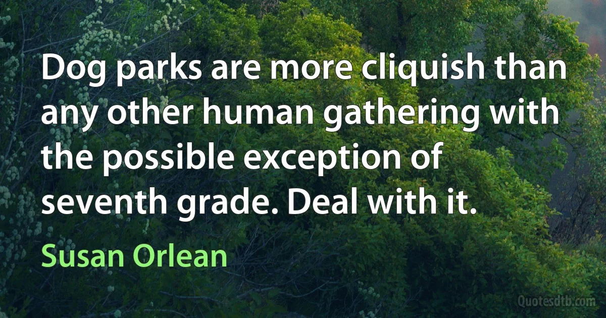 Dog parks are more cliquish than any other human gathering with the possible exception of seventh grade. Deal with it. (Susan Orlean)