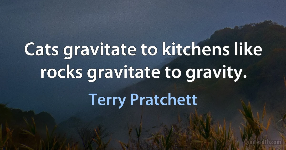 Cats gravitate to kitchens like rocks gravitate to gravity. (Terry Pratchett)