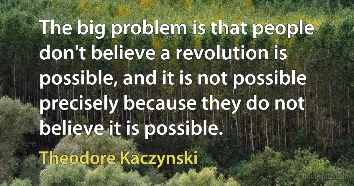 The big problem is that people don't believe a revolution is possible, and it is not possible precisely because they do not believe it is possible. (Theodore Kaczynski)