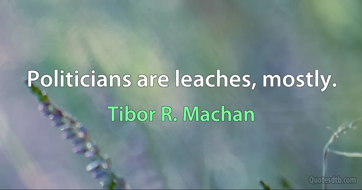 Politicians are leaches, mostly. (Tibor R. Machan)