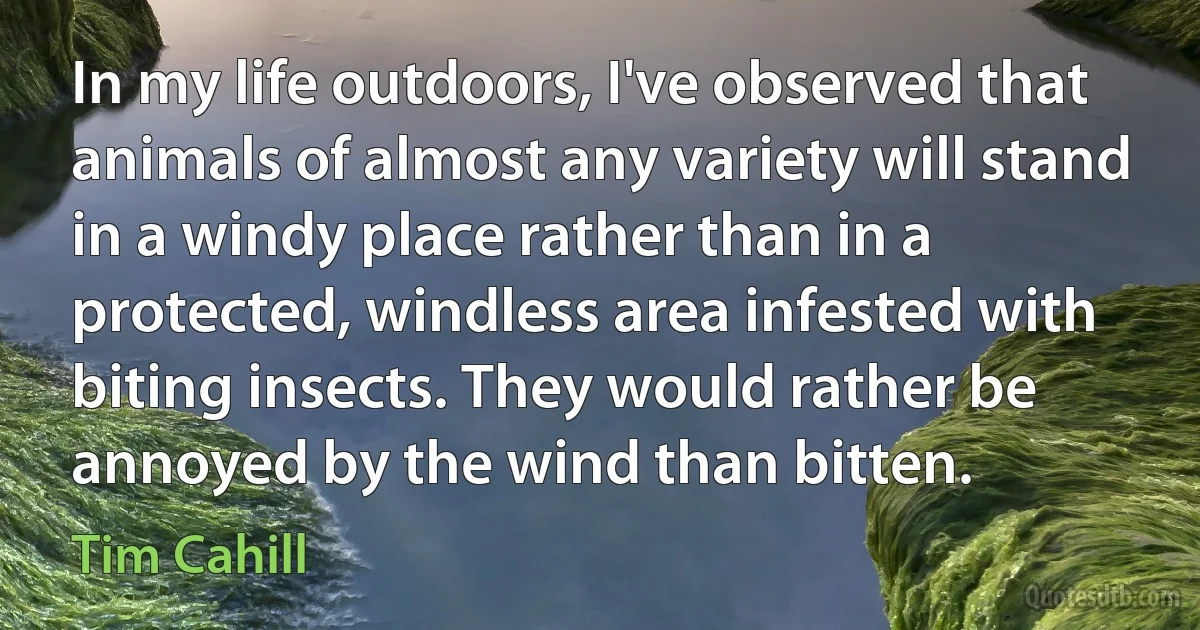 In my life outdoors, I've observed that animals of almost any variety will stand in a windy place rather than in a protected, windless area infested with biting insects. They would rather be annoyed by the wind than bitten. (Tim Cahill)