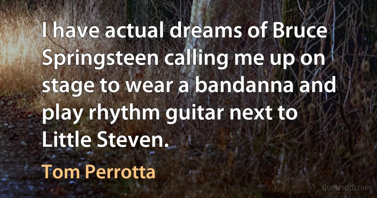 I have actual dreams of Bruce Springsteen calling me up on stage to wear a bandanna and play rhythm guitar next to Little Steven. (Tom Perrotta)