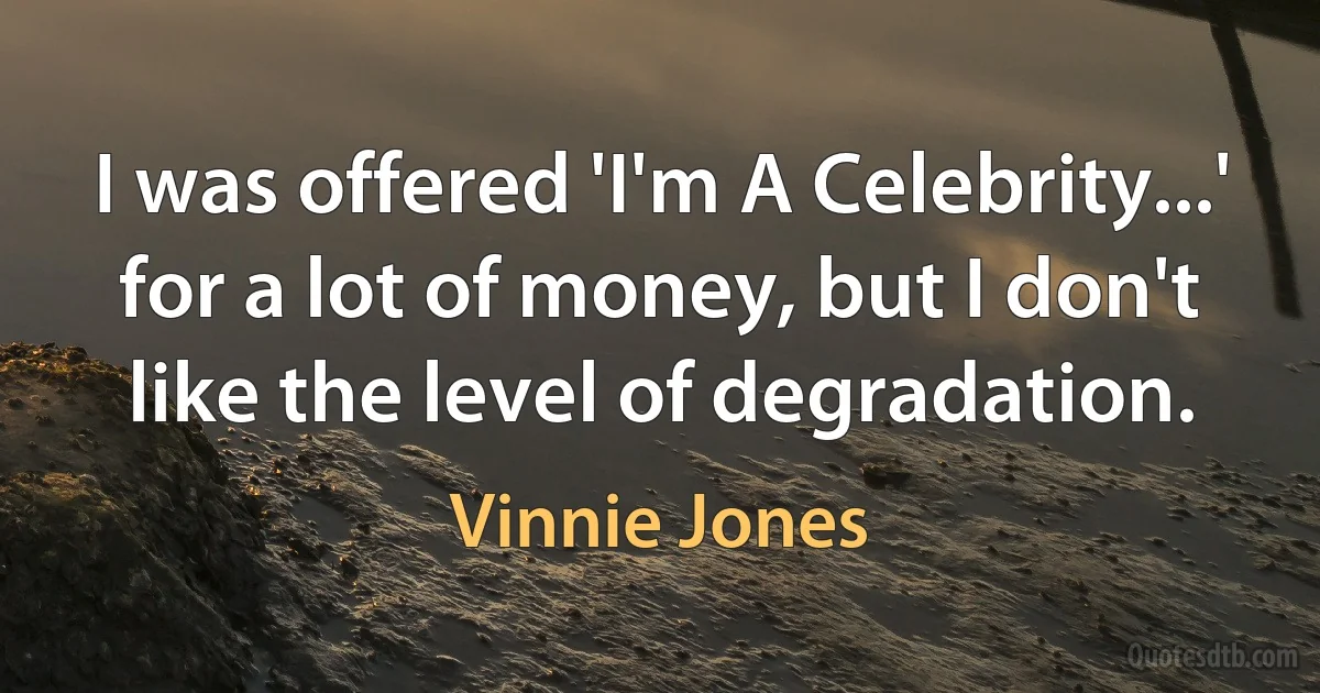 I was offered 'I'm A Celebrity...' for a lot of money, but I don't like the level of degradation. (Vinnie Jones)