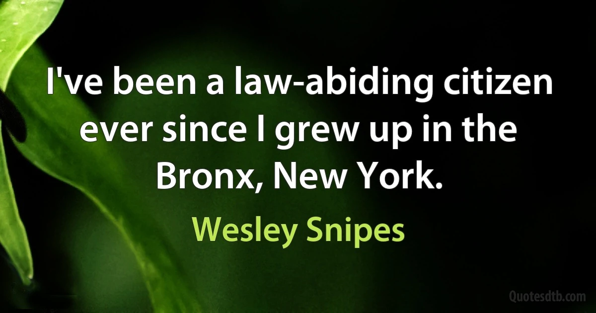 I've been a law-abiding citizen ever since I grew up in the Bronx, New York. (Wesley Snipes)