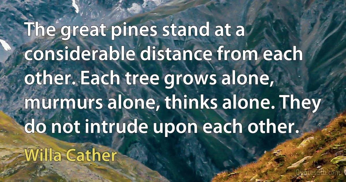 The great pines stand at a considerable distance from each other. Each tree grows alone, murmurs alone, thinks alone. They do not intrude upon each other. (Willa Cather)