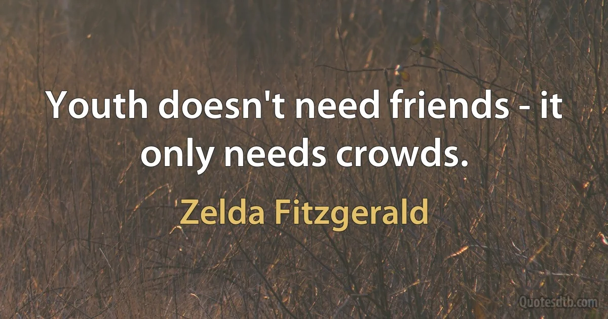 Youth doesn't need friends - it only needs crowds. (Zelda Fitzgerald)