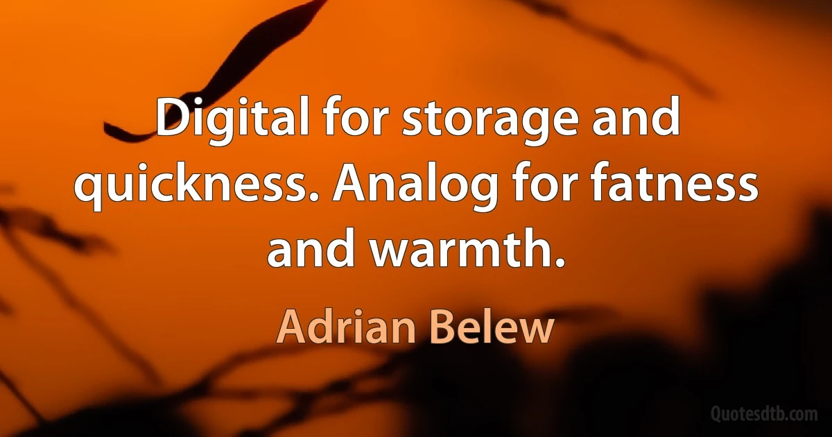 Digital for storage and quickness. Analog for fatness and warmth. (Adrian Belew)