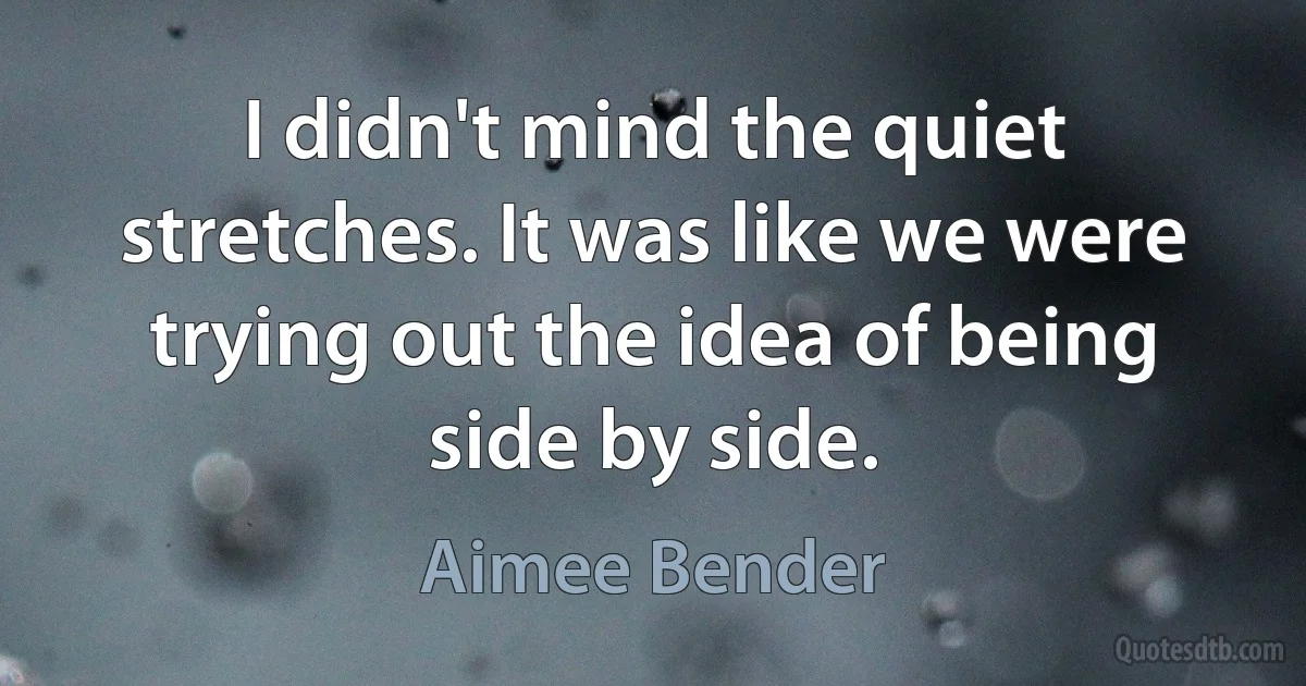 I didn't mind the quiet stretches. It was like we were trying out the idea of being side by side. (Aimee Bender)