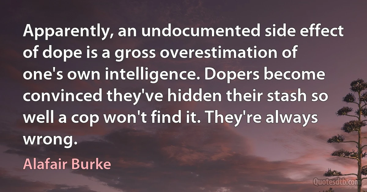 Apparently, an undocumented side effect of dope is a gross overestimation of one's own intelligence. Dopers become convinced they've hidden their stash so well a cop won't find it. They're always wrong. (Alafair Burke)