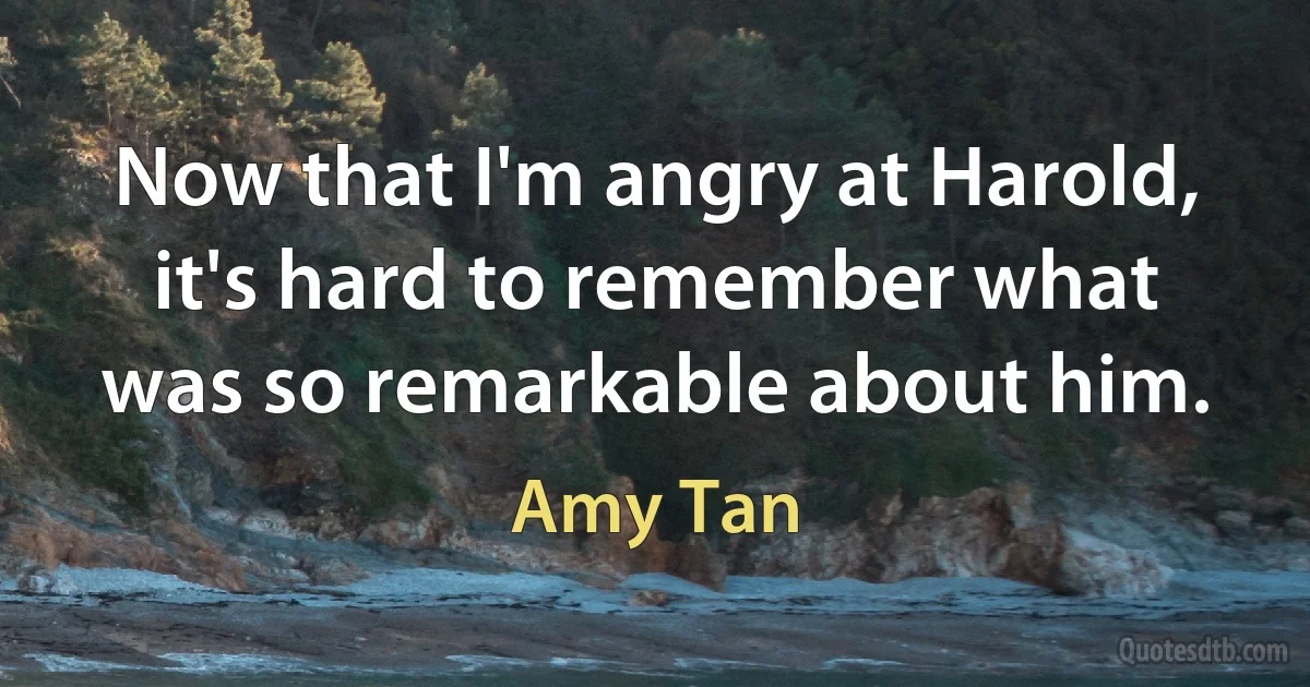 Now that I'm angry at Harold, it's hard to remember what was so remarkable about him. (Amy Tan)