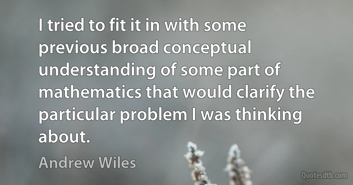 I tried to fit it in with some previous broad conceptual understanding of some part of mathematics that would clarify the particular problem I was thinking about. (Andrew Wiles)