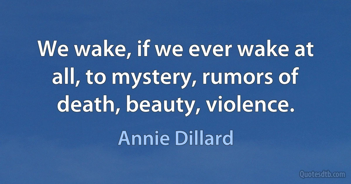 We wake, if we ever wake at all, to mystery, rumors of death, beauty, violence. (Annie Dillard)