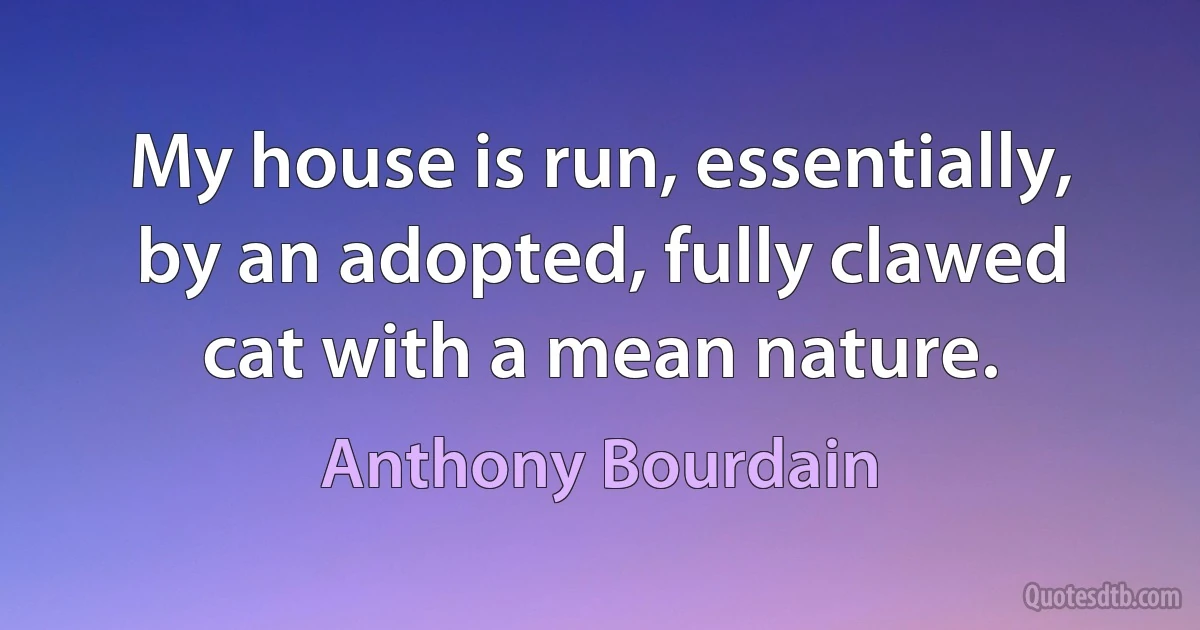 My house is run, essentially, by an adopted, fully clawed cat with a mean nature. (Anthony Bourdain)