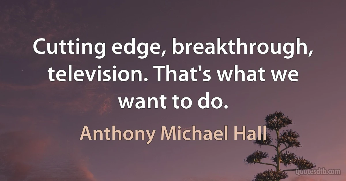 Cutting edge, breakthrough, television. That's what we want to do. (Anthony Michael Hall)