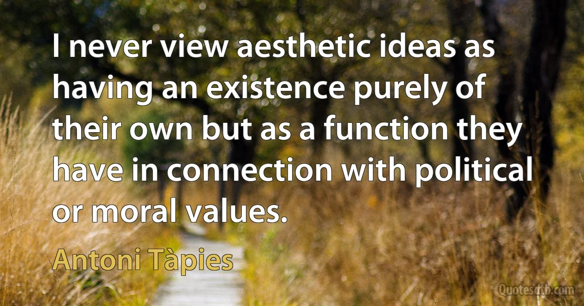 I never view aesthetic ideas as having an existence purely of their own but as a function they have in connection with political or moral values. (Antoni Tàpies)