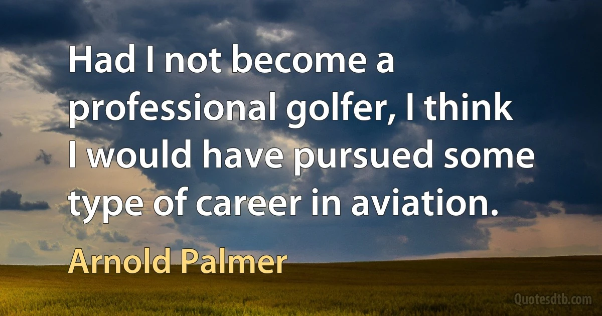 Had I not become a professional golfer, I think I would have pursued some type of career in aviation. (Arnold Palmer)