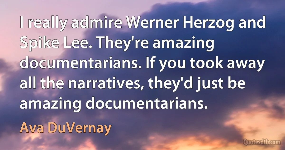 I really admire Werner Herzog and Spike Lee. They're amazing documentarians. If you took away all the narratives, they'd just be amazing documentarians. (Ava DuVernay)