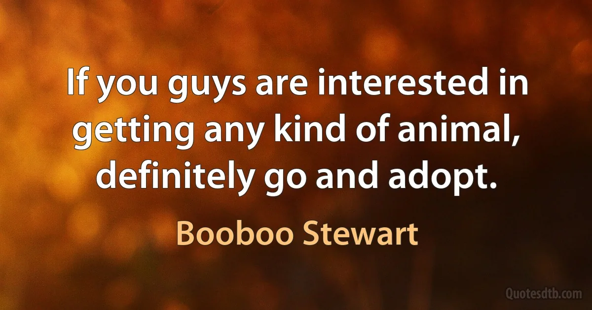 If you guys are interested in getting any kind of animal, definitely go and adopt. (Booboo Stewart)