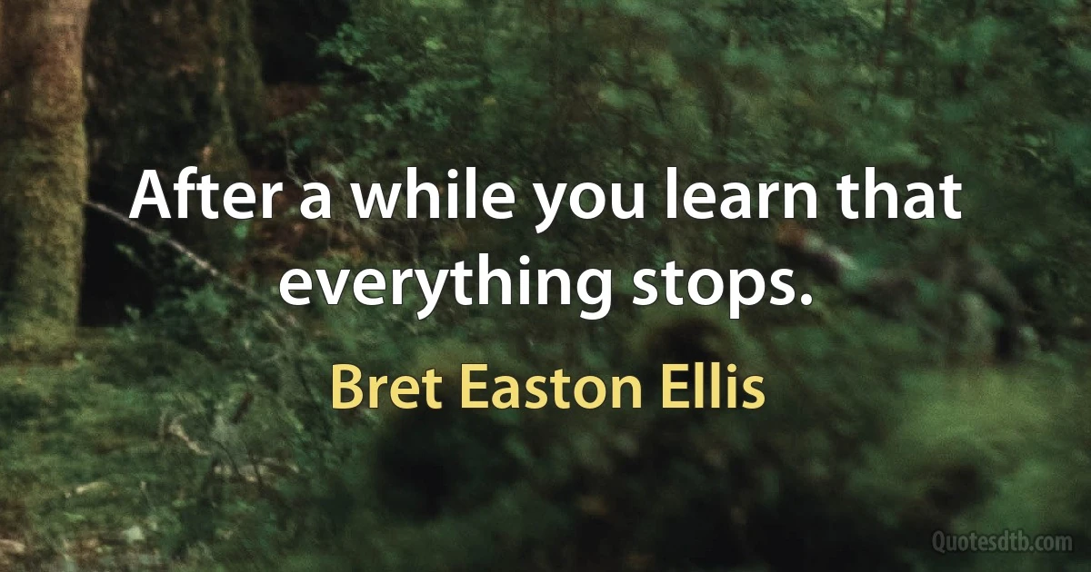 After a while you learn that everything stops. (Bret Easton Ellis)