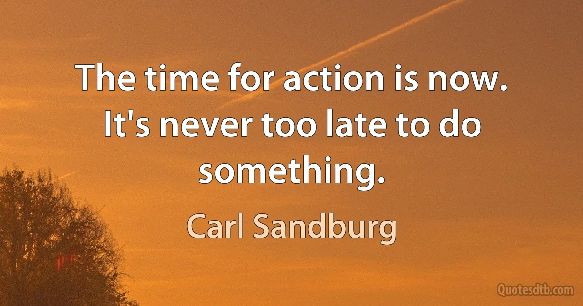 The time for action is now. It's never too late to do something. (Carl Sandburg)