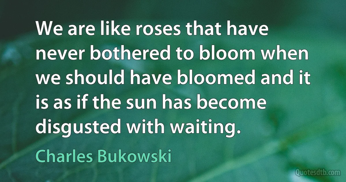 We are like roses that have never bothered to bloom when we should have bloomed and it is as if the sun has become disgusted with waiting. (Charles Bukowski)