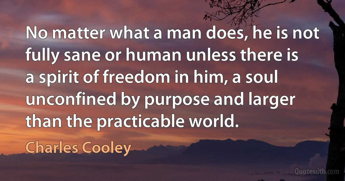 No matter what a man does, he is not fully sane or human unless there is a spirit of freedom in him, a soul unconfined by purpose and larger than the practicable world. (Charles Cooley)