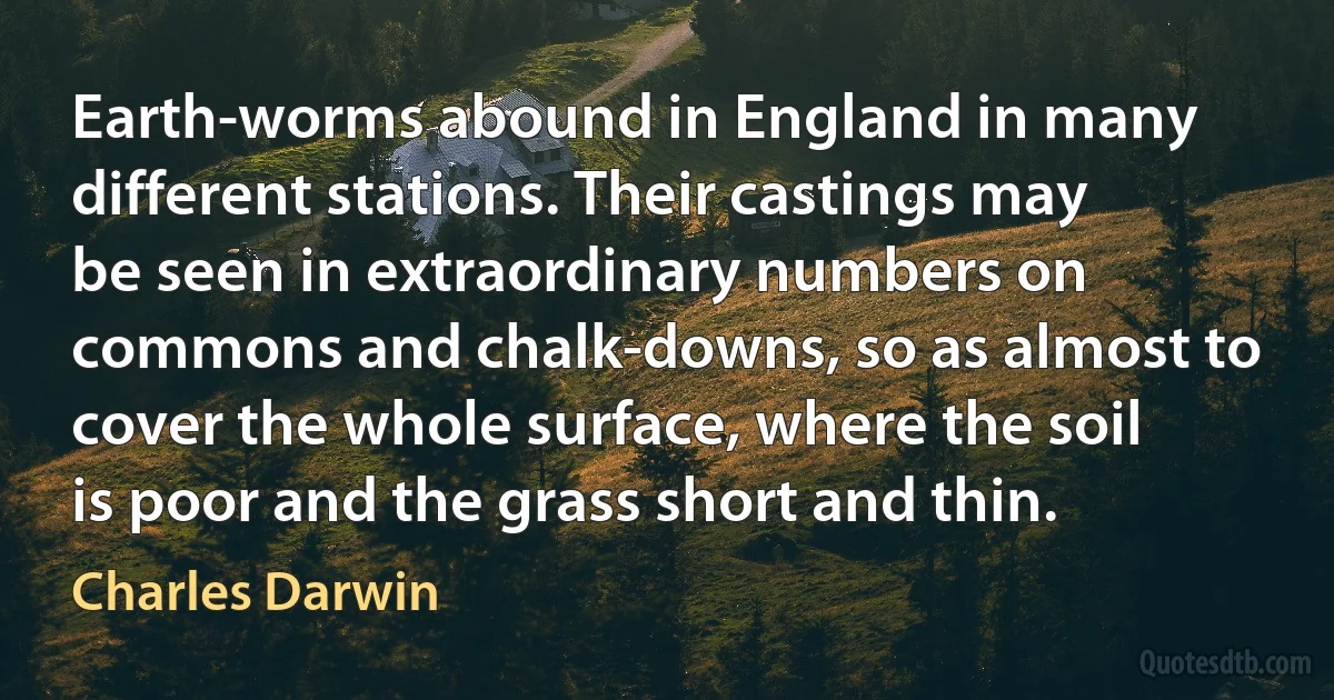 Earth-worms abound in England in many different stations. Their castings may be seen in extraordinary numbers on commons and chalk-downs, so as almost to cover the whole surface, where the soil is poor and the grass short and thin. (Charles Darwin)