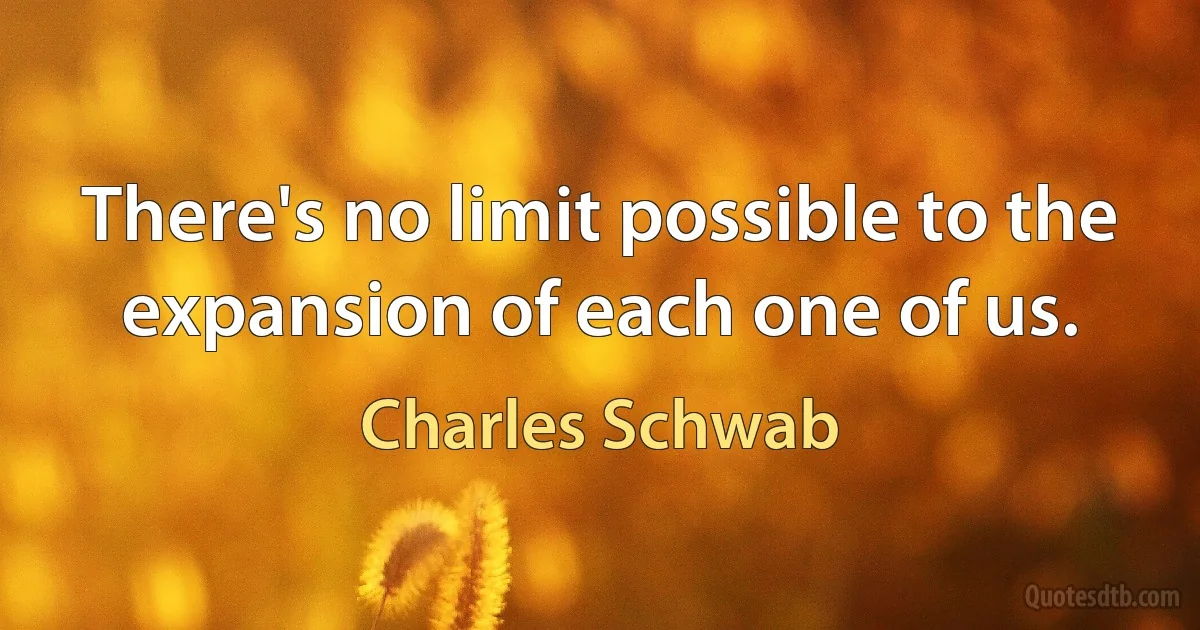 There's no limit possible to the expansion of each one of us. (Charles Schwab)