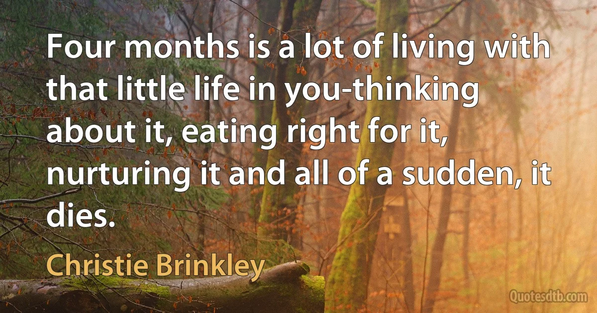 Four months is a lot of living with that little life in you-thinking about it, eating right for it, nurturing it and all of a sudden, it dies. (Christie Brinkley)