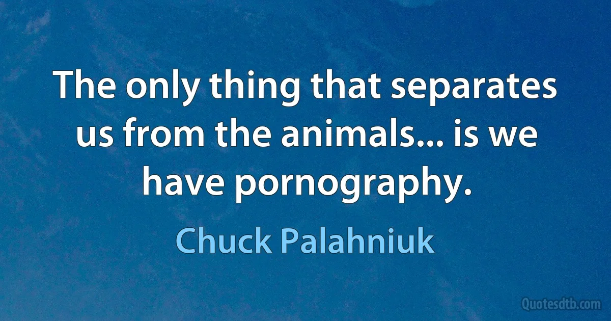 The only thing that separates us from the animals... is we have pornography. (Chuck Palahniuk)