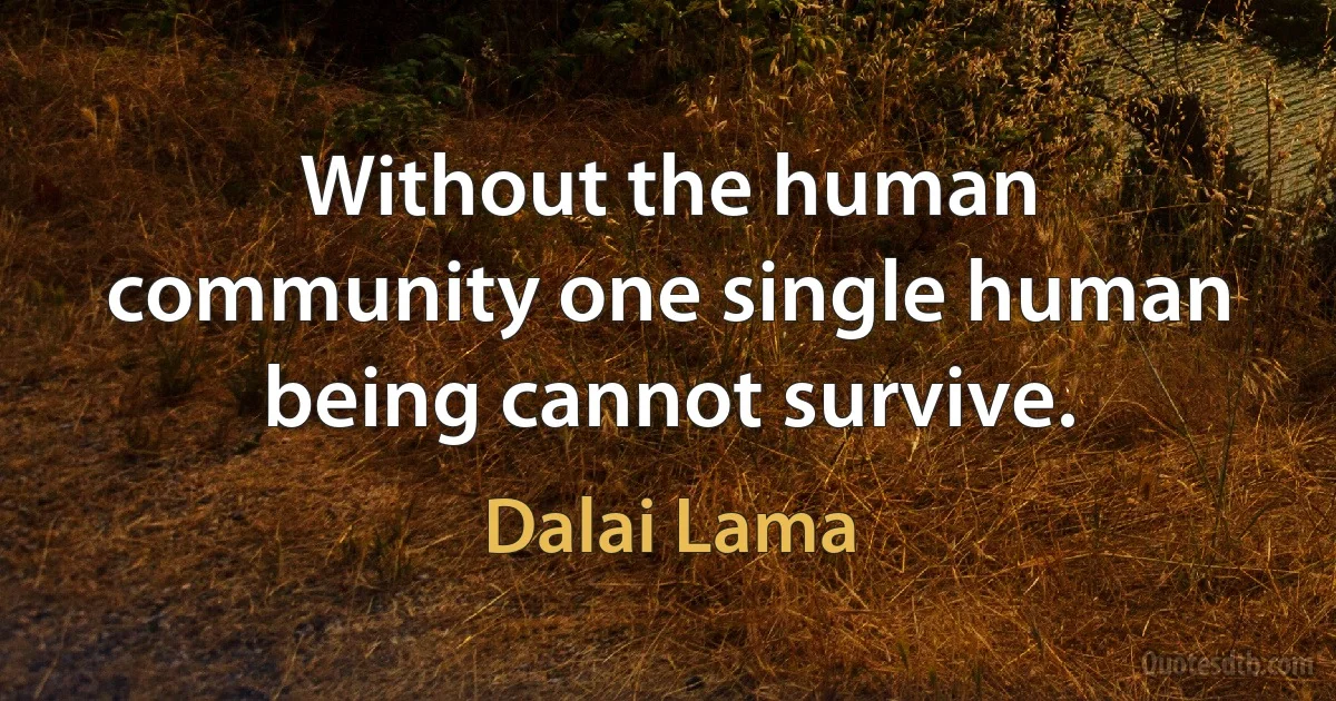 Without the human community one single human being cannot survive. (Dalai Lama)