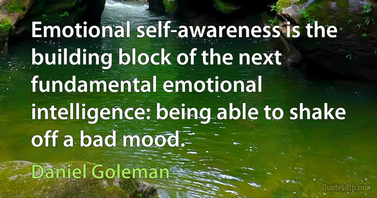 Emotional self-awareness is the building block of the next fundamental emotional intelligence: being able to shake off a bad mood. (Daniel Goleman)