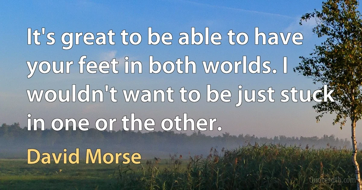 It's great to be able to have your feet in both worlds. I wouldn't want to be just stuck in one or the other. (David Morse)