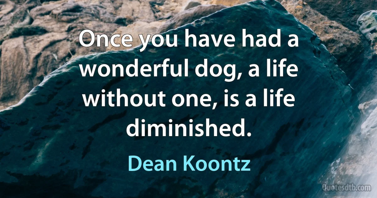 Once you have had a wonderful dog, a life without one, is a life diminished. (Dean Koontz)