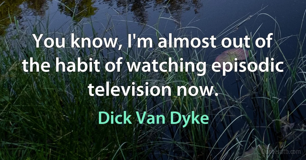 You know, I'm almost out of the habit of watching episodic television now. (Dick Van Dyke)