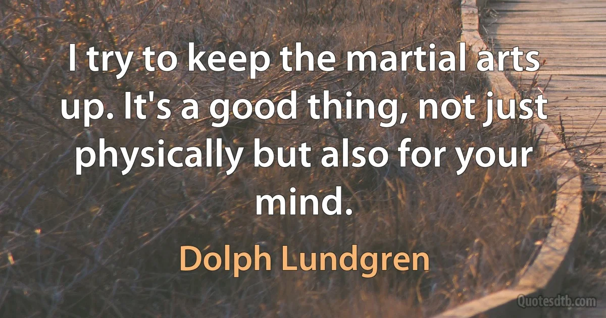 I try to keep the martial arts up. It's a good thing, not just physically but also for your mind. (Dolph Lundgren)