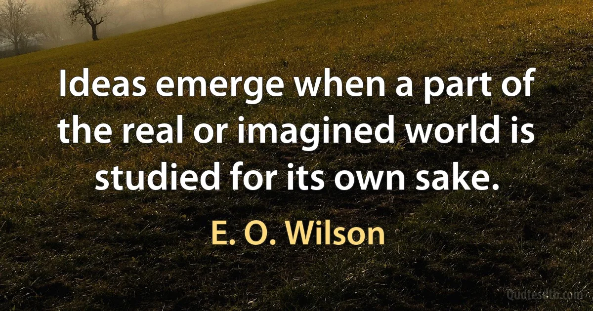 Ideas emerge when a part of the real or imagined world is studied for its own sake. (E. O. Wilson)