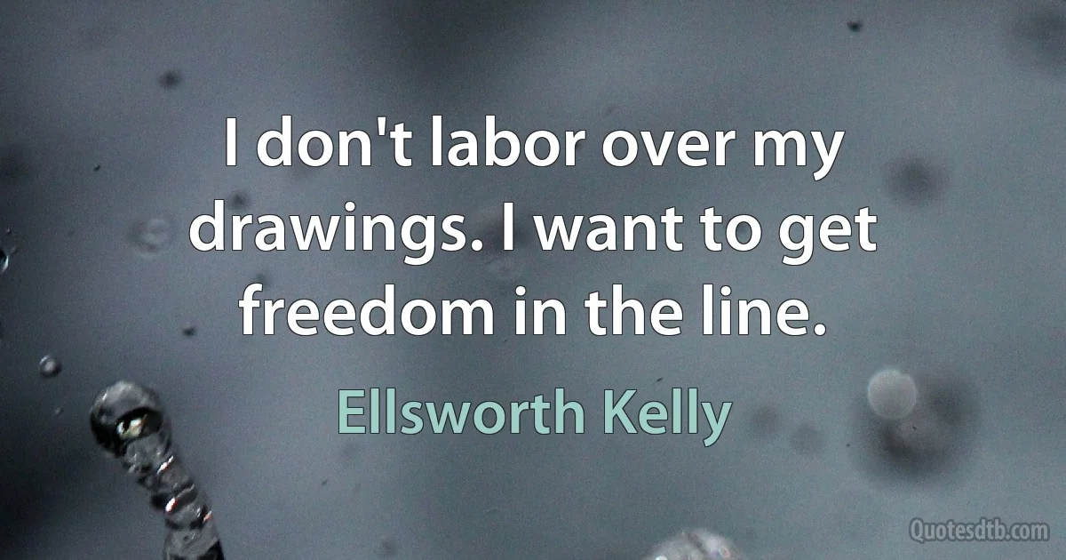 I don't labor over my drawings. I want to get freedom in the line. (Ellsworth Kelly)