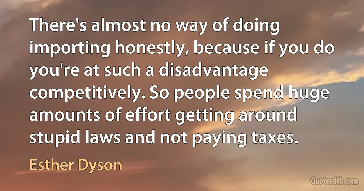 There's almost no way of doing importing honestly, because if you do you're at such a disadvantage competitively. So people spend huge amounts of effort getting around stupid laws and not paying taxes. (Esther Dyson)