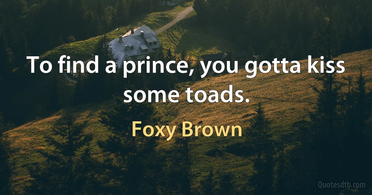 To find a prince, you gotta kiss some toads. (Foxy Brown)