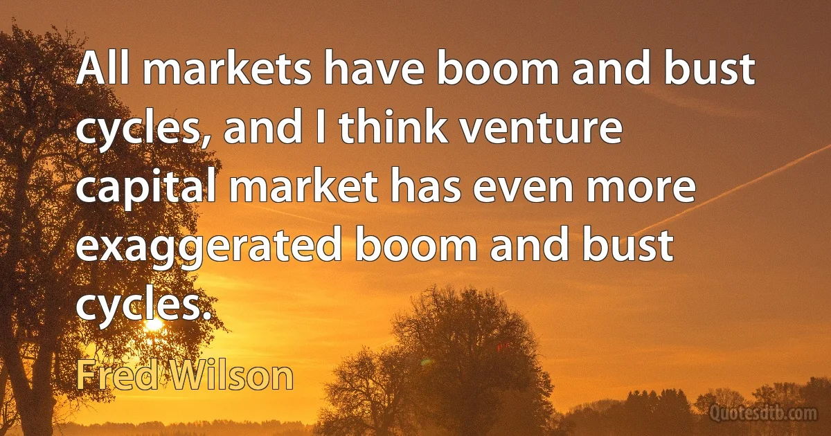 All markets have boom and bust cycles, and I think venture capital market has even more exaggerated boom and bust cycles. (Fred Wilson)