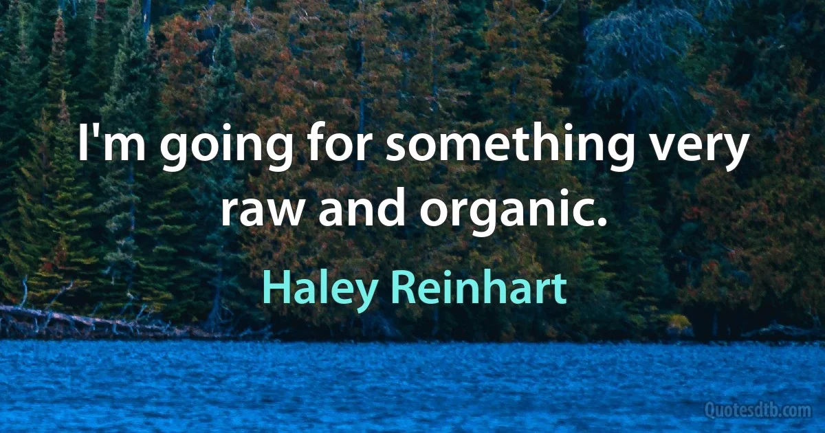 I'm going for something very raw and organic. (Haley Reinhart)