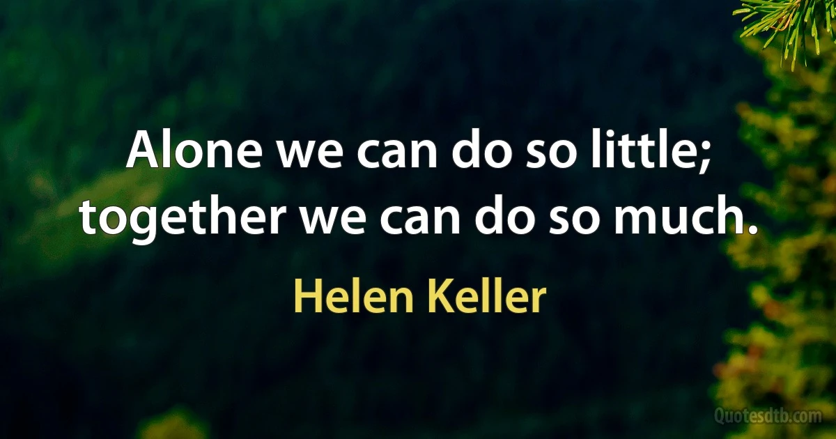 Alone we can do so little; together we can do so much. (Helen Keller)