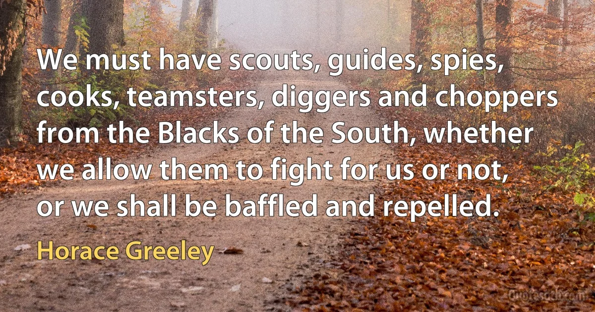 We must have scouts, guides, spies, cooks, teamsters, diggers and choppers from the Blacks of the South, whether we allow them to fight for us or not, or we shall be baffled and repelled. (Horace Greeley)