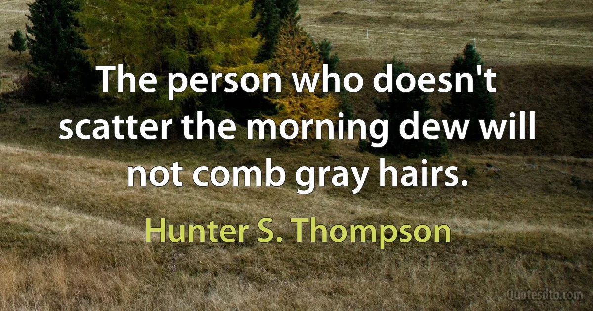 The person who doesn't scatter the morning dew will not comb gray hairs. (Hunter S. Thompson)